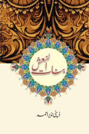 BINAT UL NAASH novel cover
