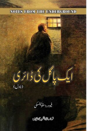 Aik Pagal Ki Diary, Notes from Underground