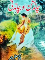 Chand Gagan Aur Chandni novel cover