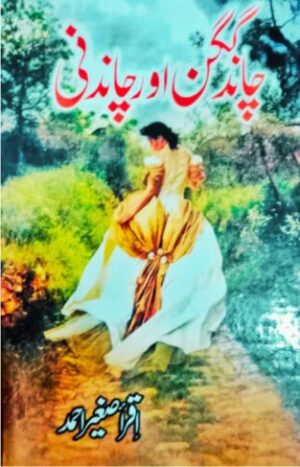 Chand Gagan Aur Chandni novel cover