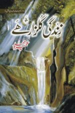 Zindagi Gulzar Hai Novel by Umera Ahmed