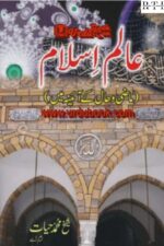Alam-e-Islam Mazi Haal Ke Aaine Mein By Muhammad Hayat Khan