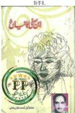 Ibn-e-Safi Ka Naya Rukh Book By Mushtaq Ahmed Qureshi