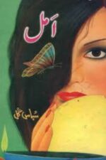 Amal Novel by Subas Gul