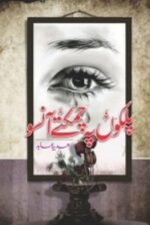 Palkon Pay Chamkatay Aansoo Novel by Sadia Abid